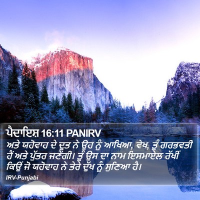 ਪੈਦਾਇਸ਼ 16:11 PANIRV Bible Verse Image