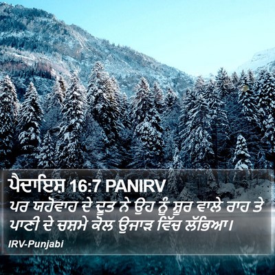 ਪੈਦਾਇਸ਼ 16:7 PANIRV Bible Verse Image
