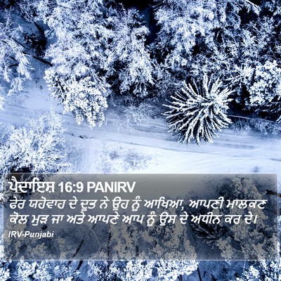 ਪੈਦਾਇਸ਼ 16:9 PANIRV Bible Verse Image