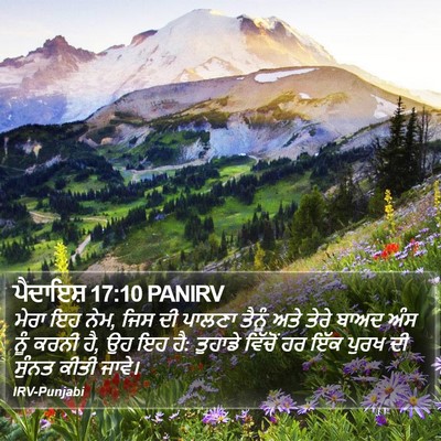 ਪੈਦਾਇਸ਼ 17:10 PANIRV Bible Verse Image