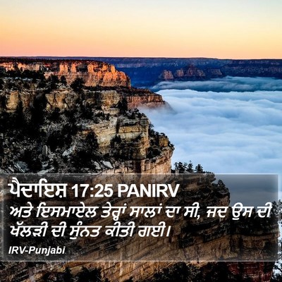 ਪੈਦਾਇਸ਼ 17:25 PANIRV Bible Verse Image