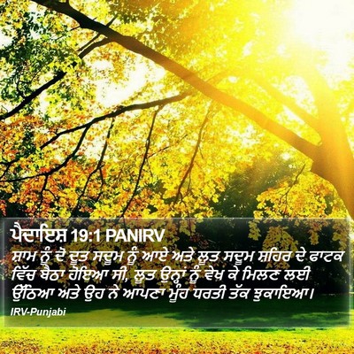 ਪੈਦਾਇਸ਼ 19:1 PANIRV Bible Verse Image
