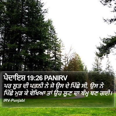ਪੈਦਾਇਸ਼ 19:26 PANIRV Bible Verse Image