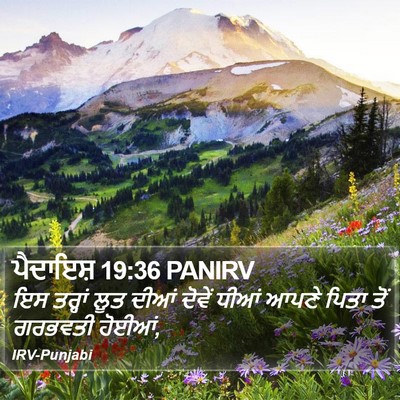 ਪੈਦਾਇਸ਼ 19:36 PANIRV Bible Verse Image