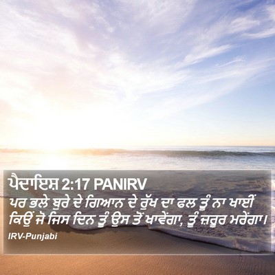 ਪੈਦਾਇਸ਼ 2:17 PANIRV Bible Verse Image