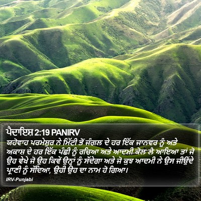ਪੈਦਾਇਸ਼ 2:19 PANIRV Bible Verse Image