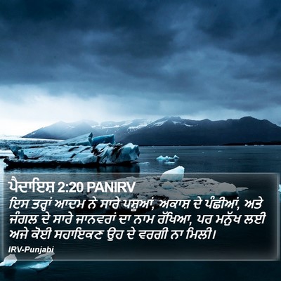 ਪੈਦਾਇਸ਼ 2:20 PANIRV Bible Verse Image
