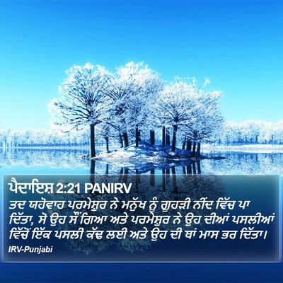 ਪੈਦਾਇਸ਼ 2:21 PANIRV Bible Verse Image