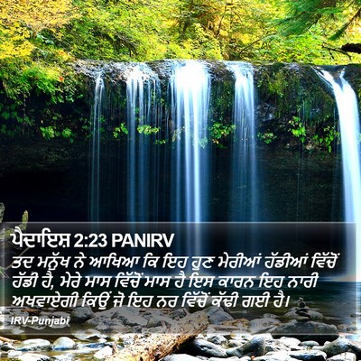 ਪੈਦਾਇਸ਼ 2:23 PANIRV Bible Verse Image