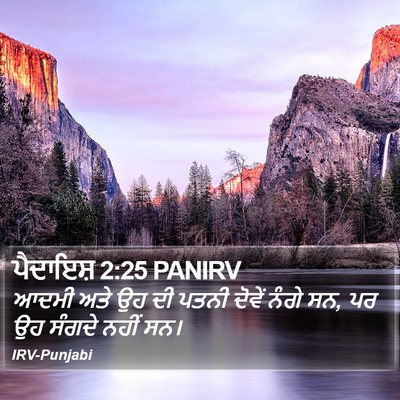 ਪੈਦਾਇਸ਼ 2:25 PANIRV Bible Verse Image