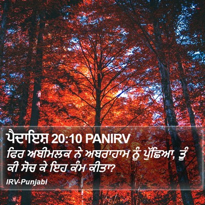 ਪੈਦਾਇਸ਼ 20:10 PANIRV Bible Verse Image