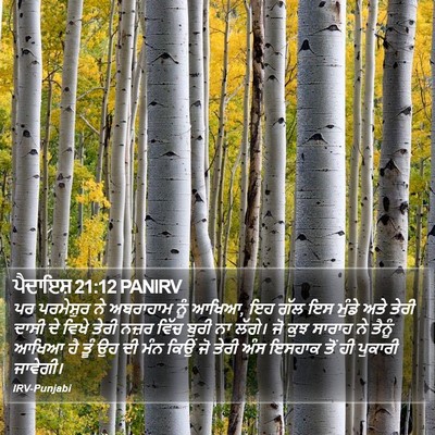 ਪੈਦਾਇਸ਼ 21:12 PANIRV Bible Verse Image