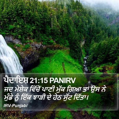 ਪੈਦਾਇਸ਼ 21:15 PANIRV Bible Verse Image