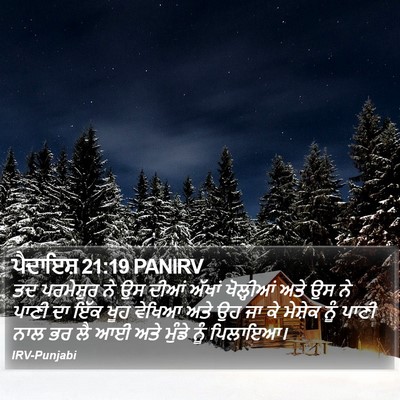 ਪੈਦਾਇਸ਼ 21:19 PANIRV Bible Verse Image