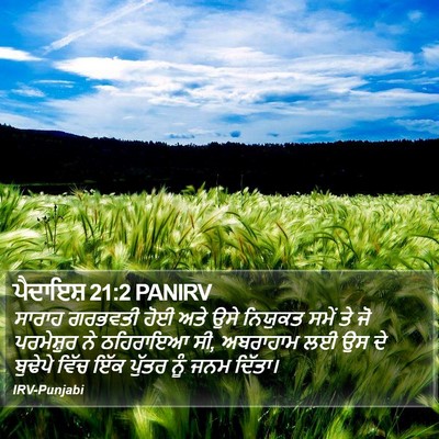 ਪੈਦਾਇਸ਼ 21:2 PANIRV Bible Verse Image