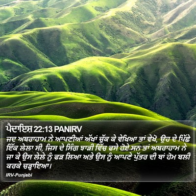 ਪੈਦਾਇਸ਼ 22:13 PANIRV Bible Verse Image