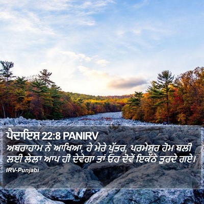 ਪੈਦਾਇਸ਼ 22:8 PANIRV Bible Verse Image