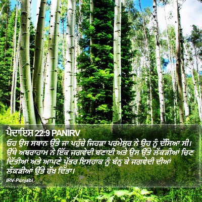ਪੈਦਾਇਸ਼ 22:9 PANIRV Bible Verse Image