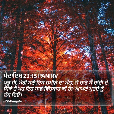 ਪੈਦਾਇਸ਼ 23:15 PANIRV Bible Verse Image