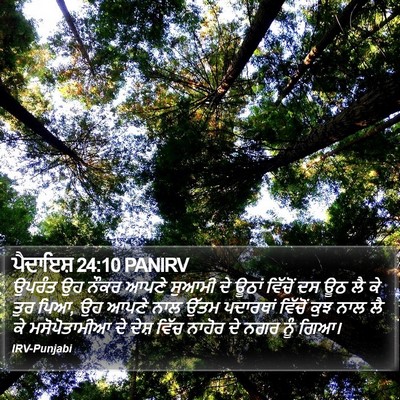 ਪੈਦਾਇਸ਼ 24:10 PANIRV Bible Verse Image
