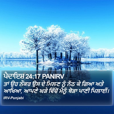 ਪੈਦਾਇਸ਼ 24:17 PANIRV Bible Verse Image