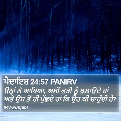 ਪੈਦਾਇਸ਼ 24:57 PANIRV Bible Verse Image