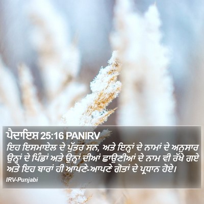 ਪੈਦਾਇਸ਼ 25:16 PANIRV Bible Verse Image