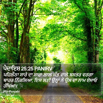 ਪੈਦਾਇਸ਼ 25:25 PANIRV Bible Verse Image