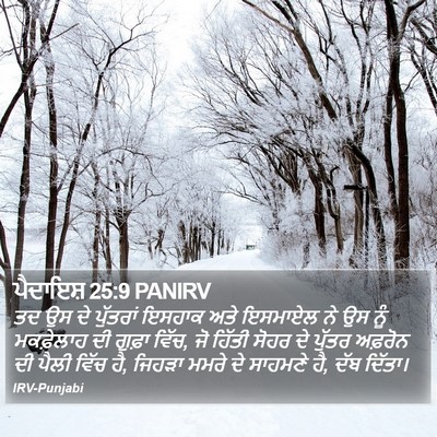 ਪੈਦਾਇਸ਼ 25:9 PANIRV Bible Verse Image