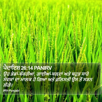 ਪੈਦਾਇਸ਼ 26:14 PANIRV Bible Verse Image