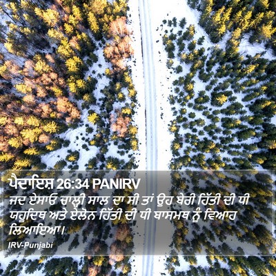 ਪੈਦਾਇਸ਼ 26:34 PANIRV Bible Verse Image