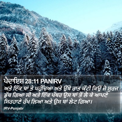 ਪੈਦਾਇਸ਼ 28:11 PANIRV Bible Verse Image