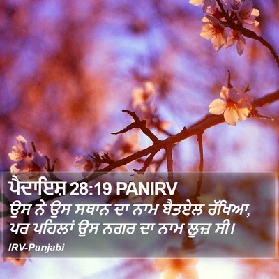 ਪੈਦਾਇਸ਼ 28:19 PANIRV Bible Verse Image