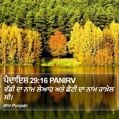 ਪੈਦਾਇਸ਼ 29:16 PANIRV Bible Verse Image
