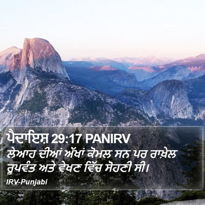 ਪੈਦਾਇਸ਼ 29:17 PANIRV Bible Verse Image