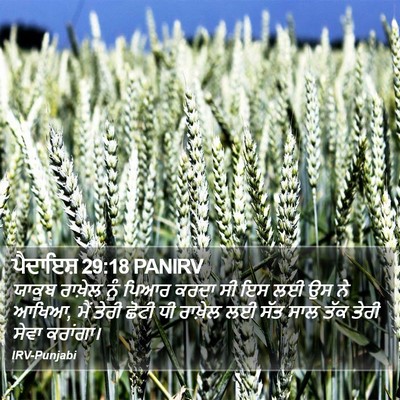 ਪੈਦਾਇਸ਼ 29:18 PANIRV Bible Verse Image