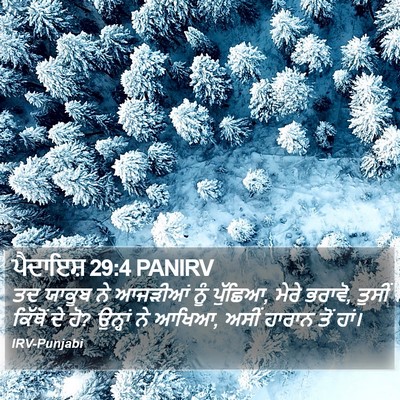ਪੈਦਾਇਸ਼ 29:4 PANIRV Bible Verse Image