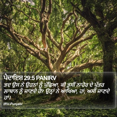 ਪੈਦਾਇਸ਼ 29:5 PANIRV Bible Verse Image