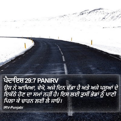 ਪੈਦਾਇਸ਼ 29:7 PANIRV Bible Verse Image