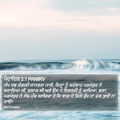 ਪੈਦਾਇਸ਼ 3:1 PANIRV Bible Verse Image