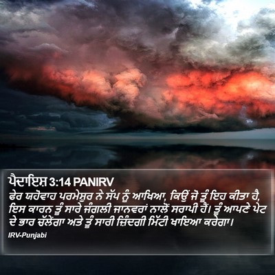 ਪੈਦਾਇਸ਼ 3:14 PANIRV Bible Verse Image