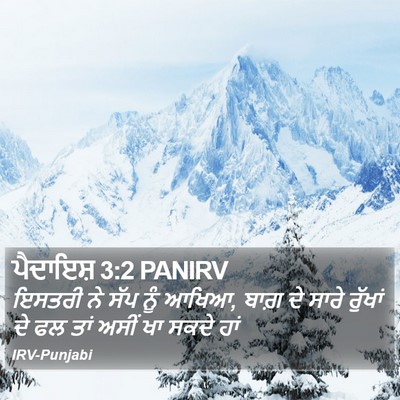 ਪੈਦਾਇਸ਼ 3:2 PANIRV Bible Verse Image