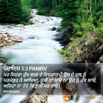 ਪੈਦਾਇਸ਼ 3:3 PANIRV Bible Verse Image