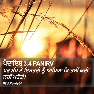 ਪੈਦਾਇਸ਼ 3:4 PANIRV Bible Verse Image