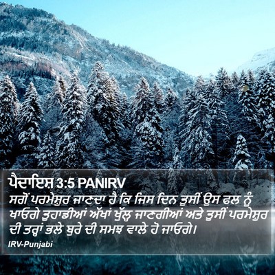 ਪੈਦਾਇਸ਼ 3:5 PANIRV Bible Verse Image
