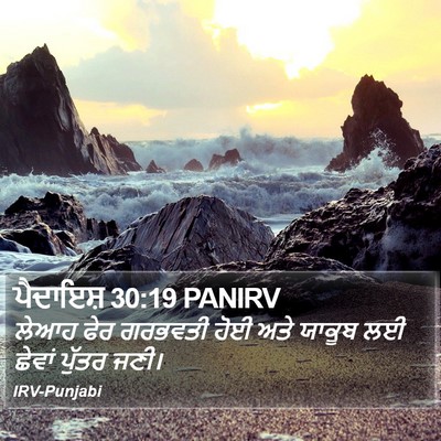 ਪੈਦਾਇਸ਼ 30:19 PANIRV Bible Verse Image