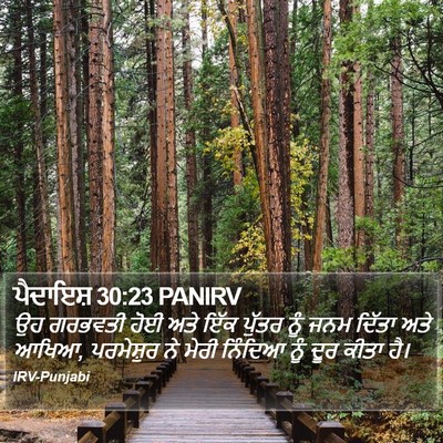 ਪੈਦਾਇਸ਼ 30:23 PANIRV Bible Verse Image
