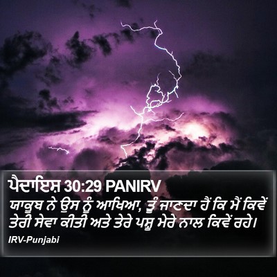 ਪੈਦਾਇਸ਼ 30:29 PANIRV Bible Verse Image