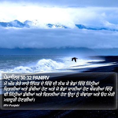 ਪੈਦਾਇਸ਼ 30:32 PANIRV Bible Verse Image