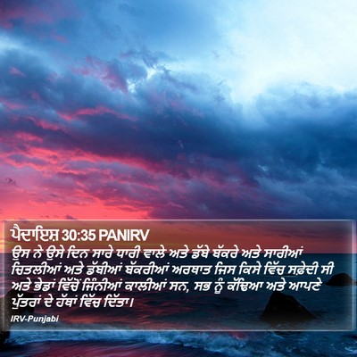 ਪੈਦਾਇਸ਼ 30:35 PANIRV Bible Verse Image